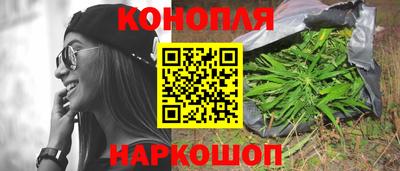 сатива Можга