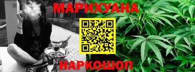 сатива Можга