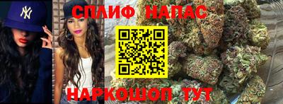 сатива Можга