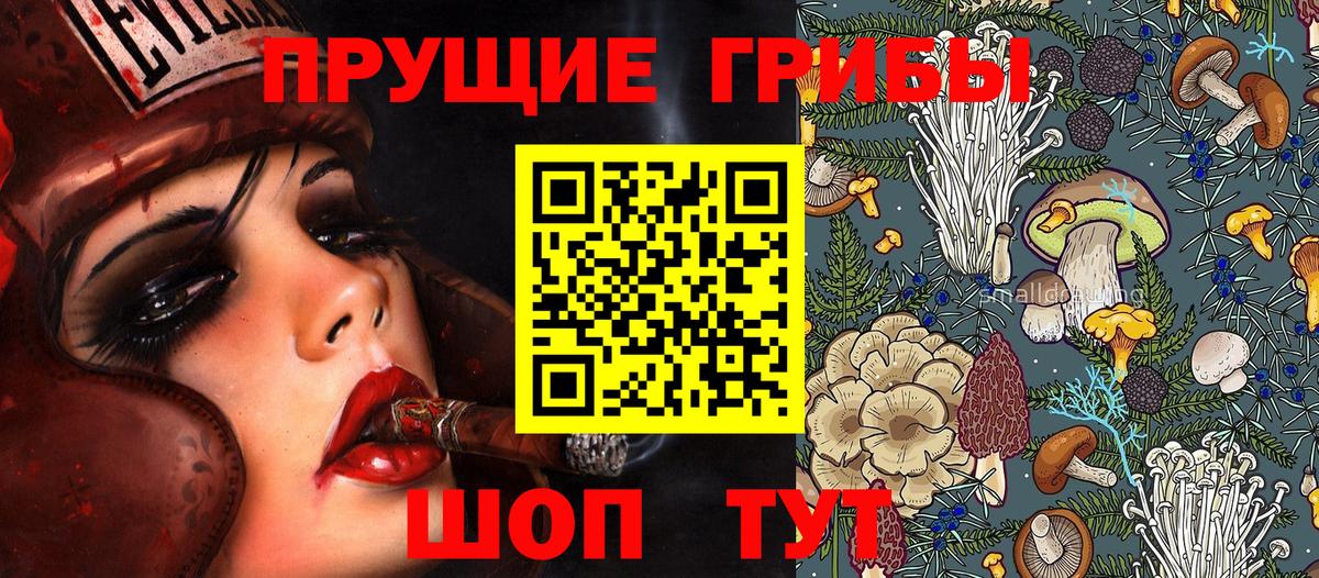 Псилоцибиновые грибы ЛСД Славгород